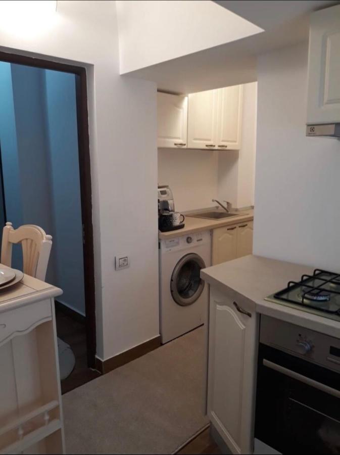 Garsoniera Lux Centru Pietonal Tirgu - Jiu Appartement Târgu Jiu Buitenkant foto